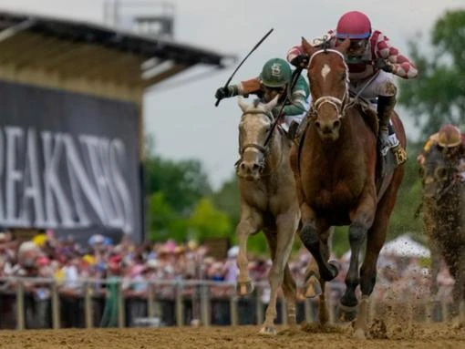 A win for Journalism in the 150th Preakness Stakes