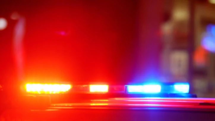 WA man accused of threatening driver with gun charged