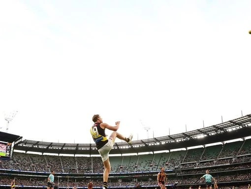 Head knock KO's Tigers star for Dreamtime clash