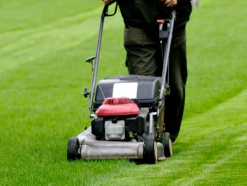American man’s routine lawn mowing takes deadly turn