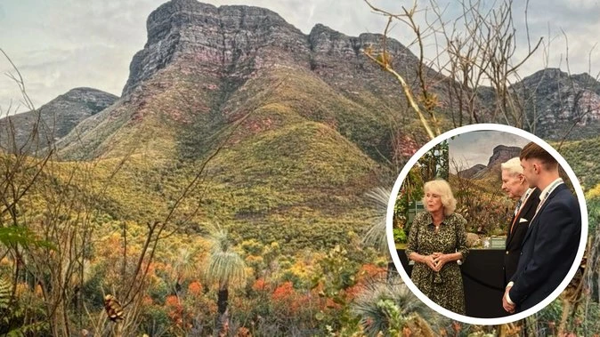 Aussie native orchid wins gold at world-famous flower show