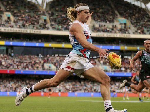 Bailey hype goes up again for massive Cats-Dogs duel