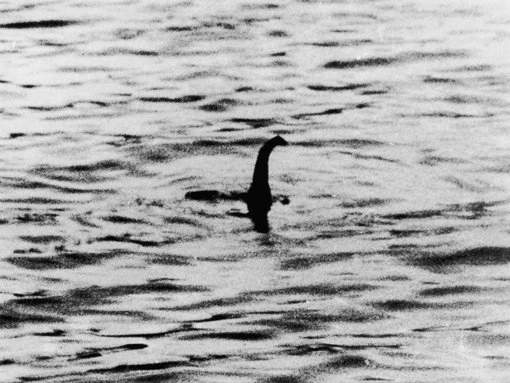 Loch Ness Monster may have had baby