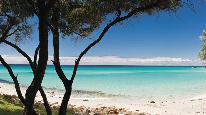 WA holiday spot one of the most pet-friendly for travellers