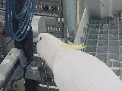 Bizarre reason for rocket launch delay