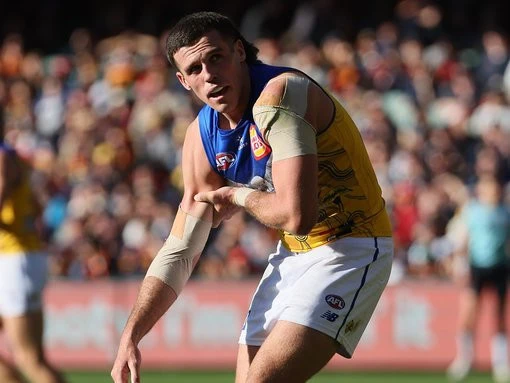 breakingHuge blow for Eagles as Waterman hurt in Crows clash
