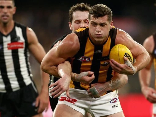 Hawthorn ruck Meek learns fate over late Lipinski clash