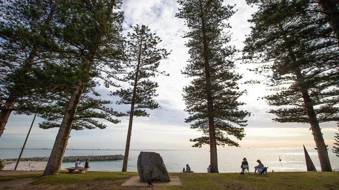 REVEALED: Perth’s worst areas for hayfever sufferers