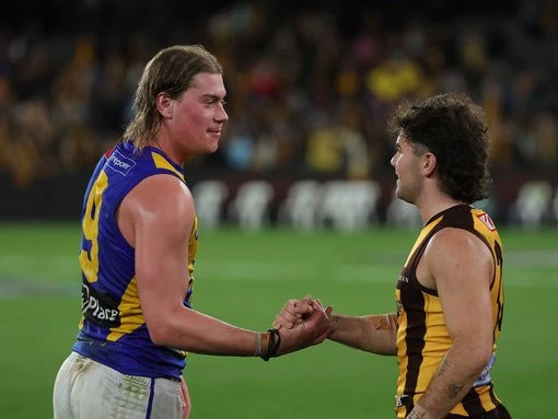 ‘Harley Reid fund’: Hawks fans’ hilarious bid to lure Eagle