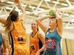 Reigning premiers Roar back