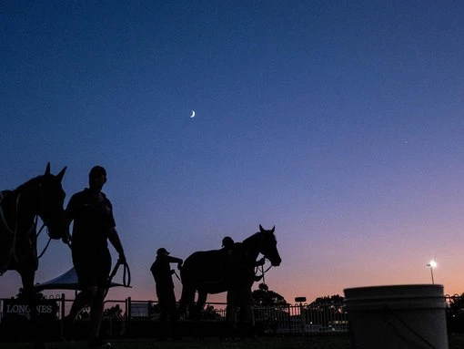Judgment day for $5bn Rosehill plan