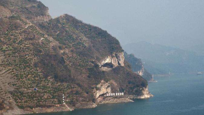 'Puppy Mountain' photo delights onlookers in China