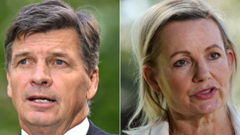 breakingSussan Ley becomes first female Federal Liberal leader