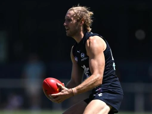 Haynes slots seamlessly into new-look Blues AFL defence