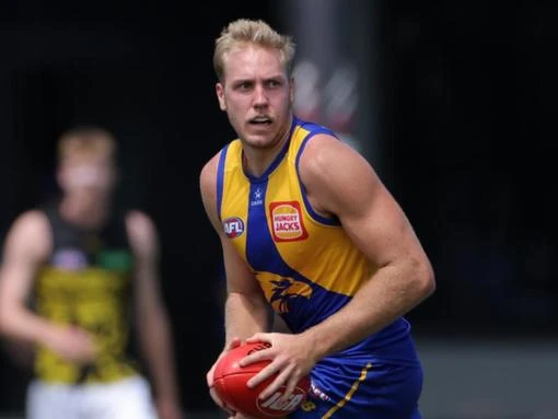 Eagles skipper Allen finding his happiness in defence