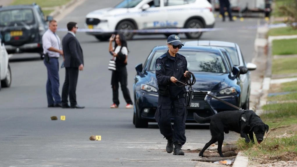 Horror as bullets spray home with kids inside