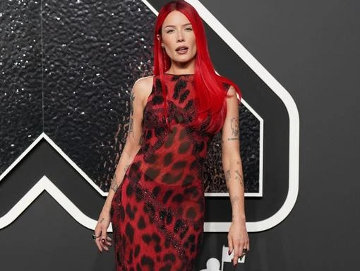 Halsey joins forces with Evanescence singer Amy Lee for new song Hand That Feeds