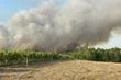 Incendies en Europe : la chaleur, les vents et la sécheresse compliquent le travail des pompiers dans plusieurs pays