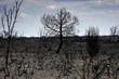 Aidée par la météo, l’Espagne vient à bout de sa bataille contre les incendies