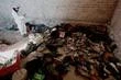 Au Mexique, 141 ans de prison pour chacun des dix responsables de meurtres dans un ranch du Jalisco