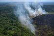 Brésil : la forêt amazonienne, confrontée aux incendies, a connu son pire premier semestre en vingt ans