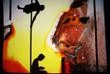 A La Villette, la compagnie Zaï redonne vie à Victor, l’enfant sauvage, grâce à son magique théâtre d’ombres
