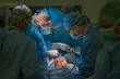 Un cœur déjà greffé… réutilisé pour un second patient