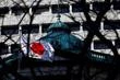 Le Japon passe sous la barre des 700 000 naissances annuelles, une première depuis la fin du XIXᵉ siècle