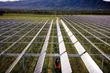 Un moratoire sur l’éolien et le solaire adopté à l’Assemblée nationale par un vote conjoint de la droite et de l’extrême droite
