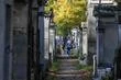 Une place au cimetière près d’Alexandre Dumas ou de Michel Delpech ? La Ville de Paris propose des tombes à la vente au Père-Lachaise, à Montparnasse et à Montmartre en échange de leur restauration