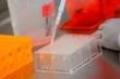 Covid-19 : L’Agence américaine du médicament approuve un vaccin avec du retard, mais sous strictes conditions
