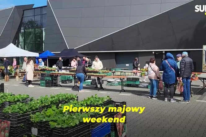 Byliśmy na miejscu! Majowy Kiermasz Ogrodniczy 2025 w Bydgoszczy już za nami! Rośliny, inspiracje i tłum…