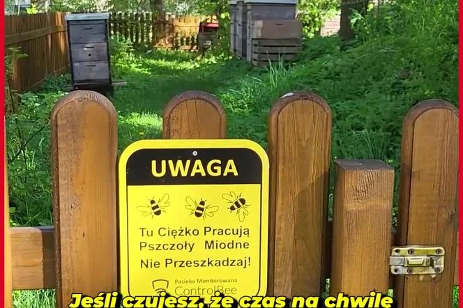 warto tu zajrzeć! Wiosna w Ogrodzie Botanicznym UKW, czyli spacer wśród zieleni
