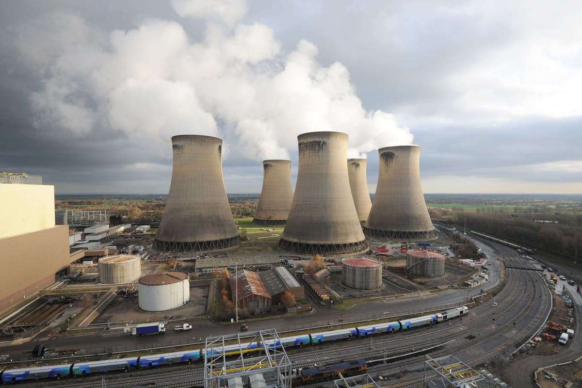 Government urged to end subsidies as Drax accused of burning old forest wood