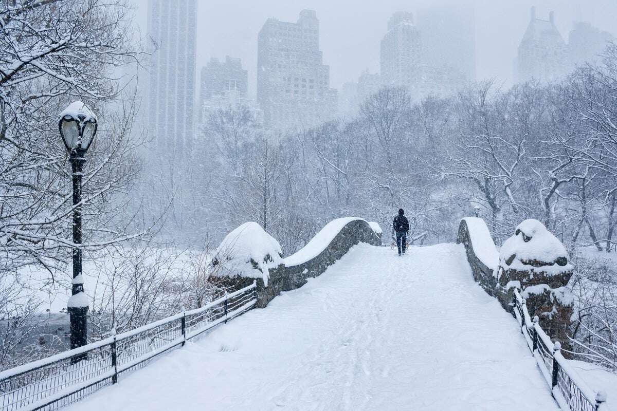 Why Does Snow Bring Childlike Joy?