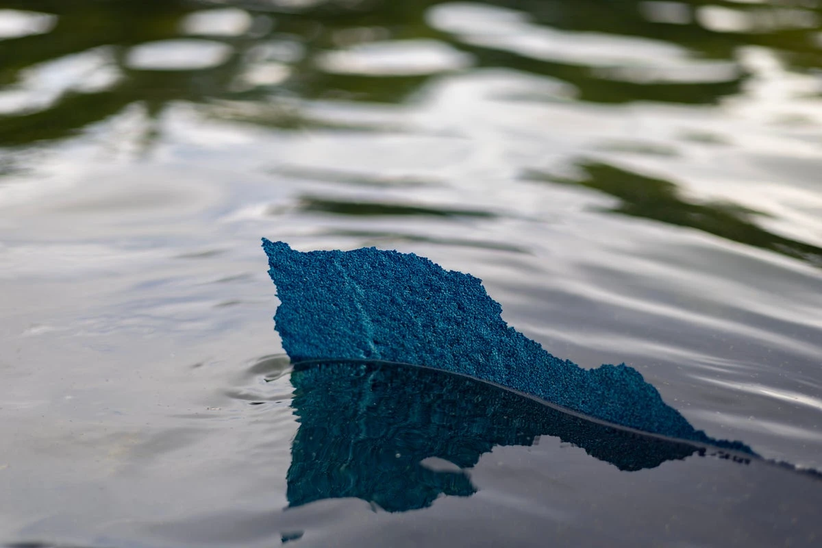 Why the paint is peeling off the Lincoln Memorial Reflecting Pool—experts explain