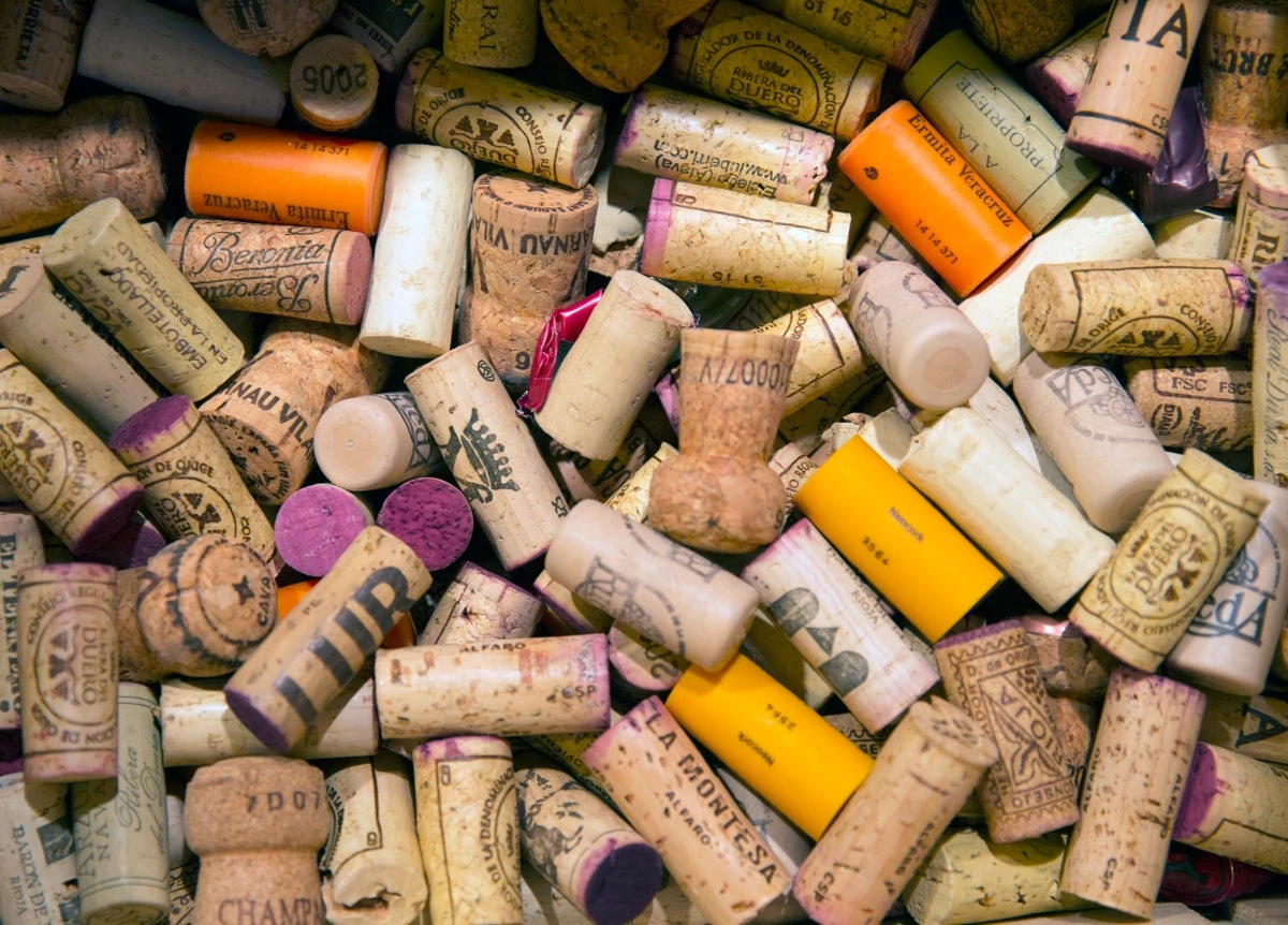 Scientists pop the cork on the hidden chemistry inside wine bottles