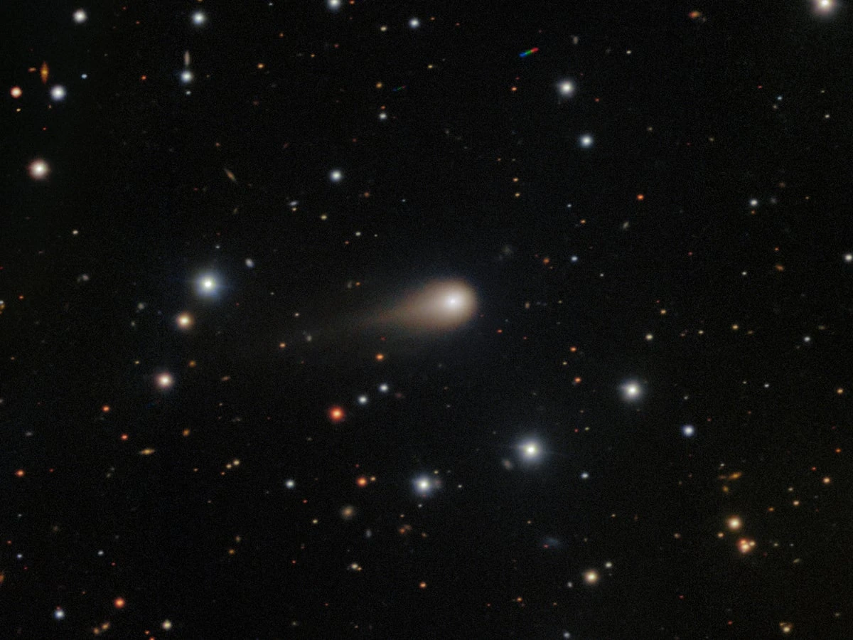 Alien comet reveals our solar system is the oddball