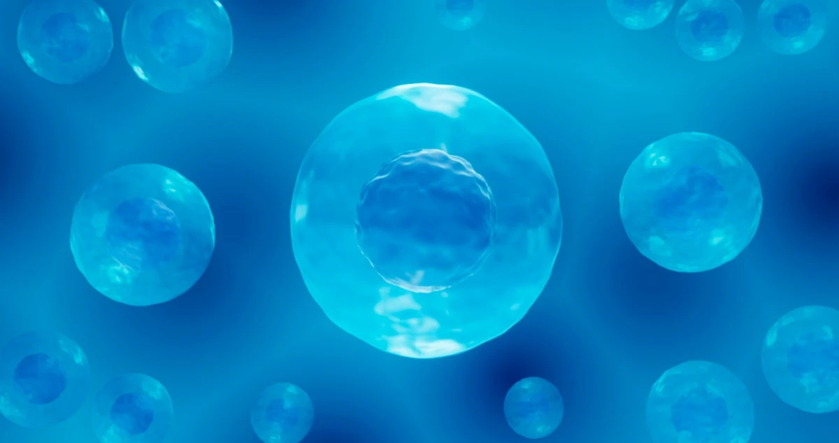 Did scientists just create synthetic life?