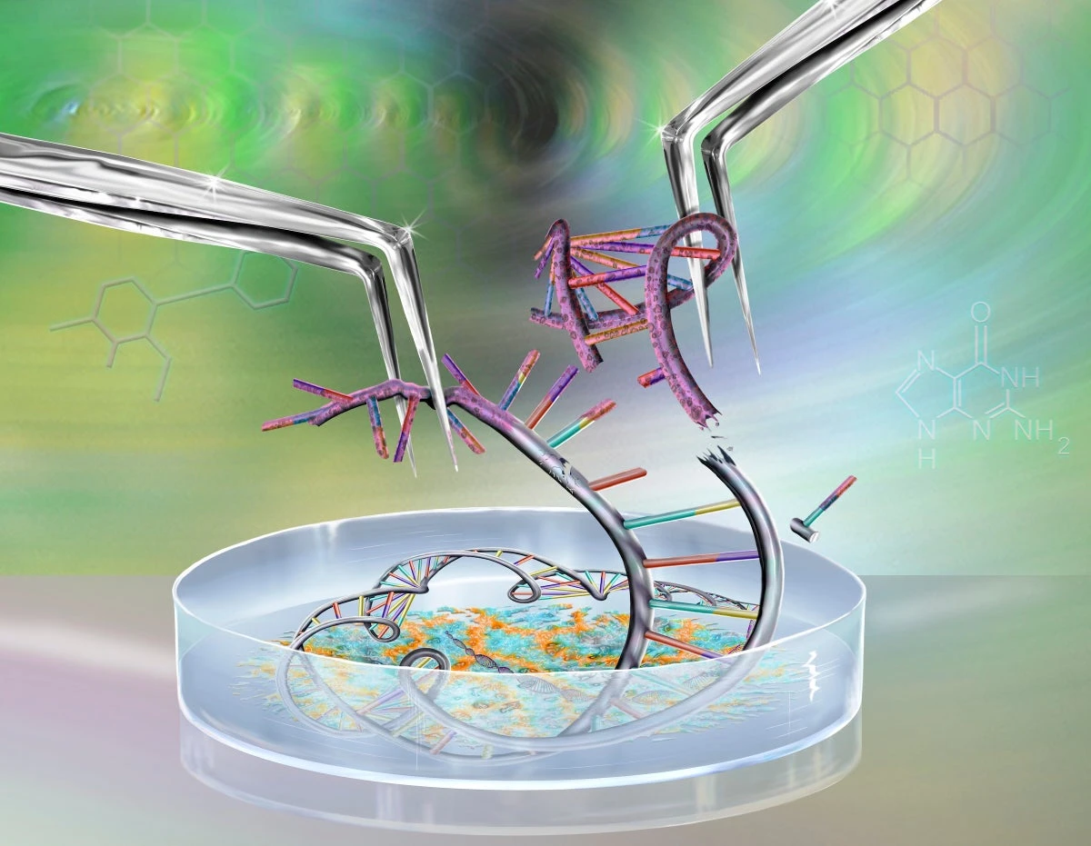 Gene-editing startups are using CRISPR to treat diseases