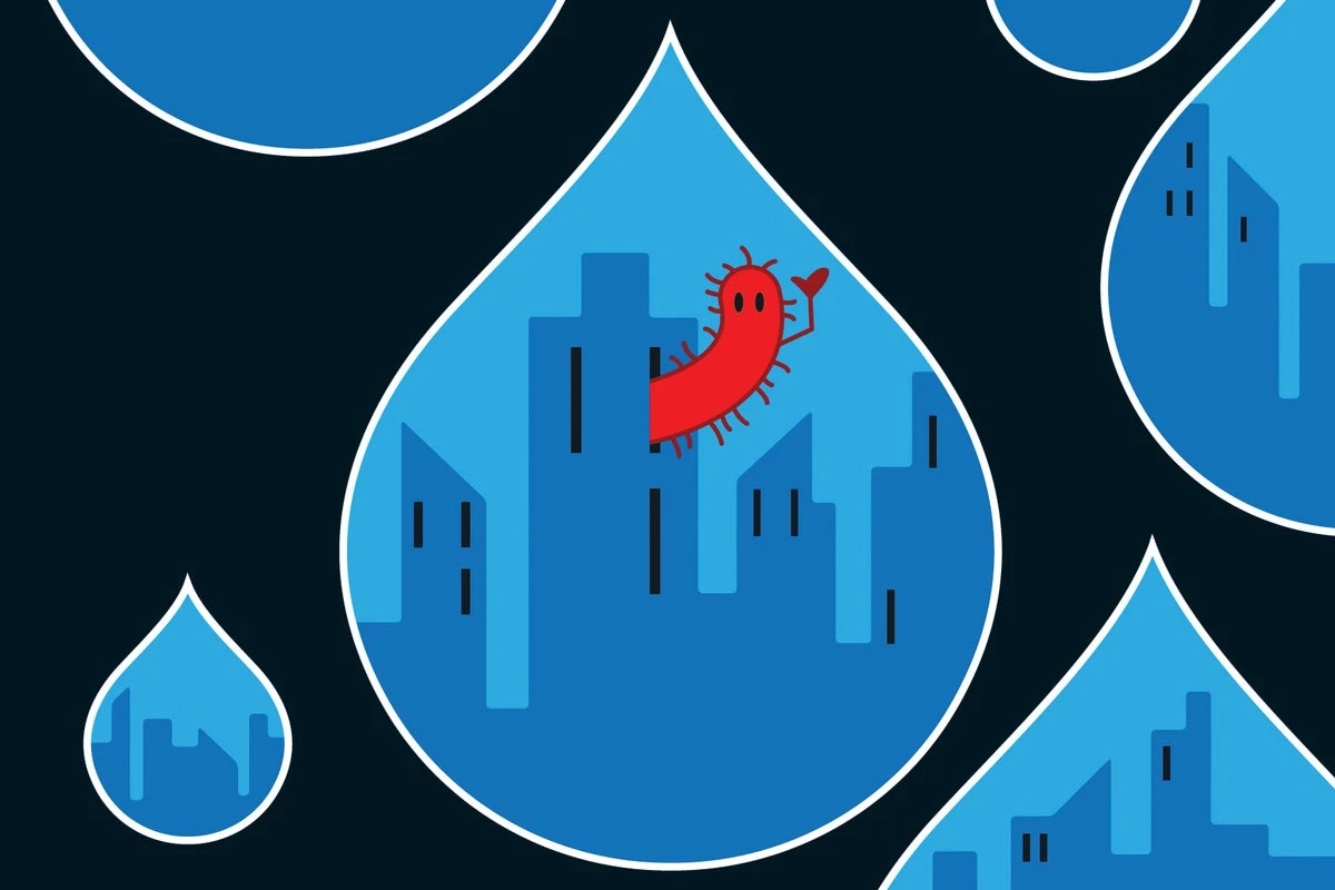 Microbe ‘cities’ may solve a key ocean mystery