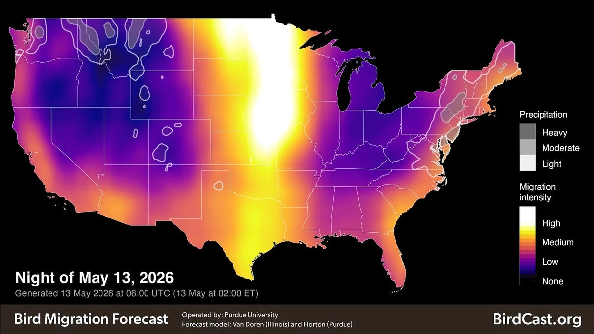 Radar picks up on bird migration. But how do we tell birds and storms apart?
