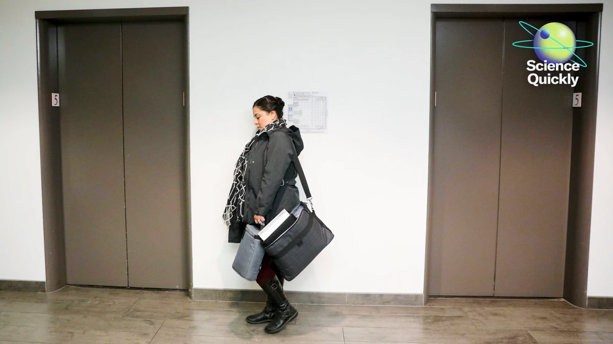 The reason why elevators feel slow—and the surprising math behind everyday life