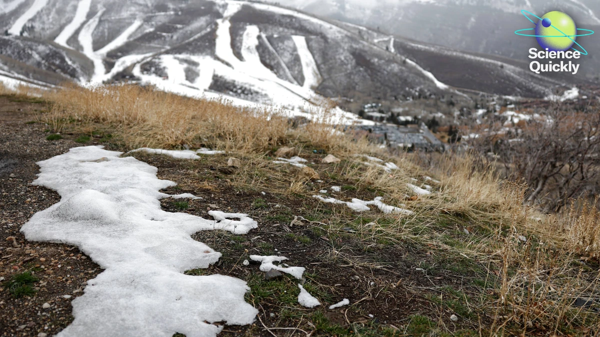 NASA’s Artemis II, endangered species and oil, low western U.S. snowpack