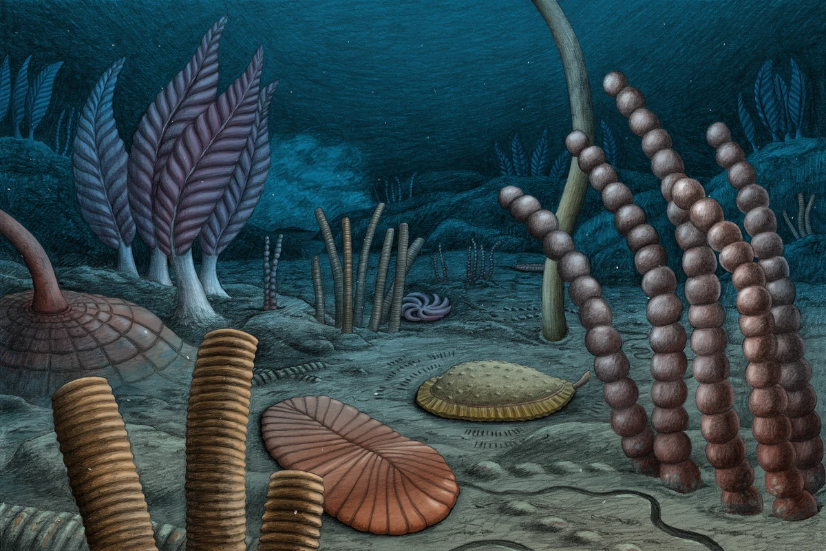 These bizarre fossils represent some of the earliest moving, sexually-reproducing life ever discovered