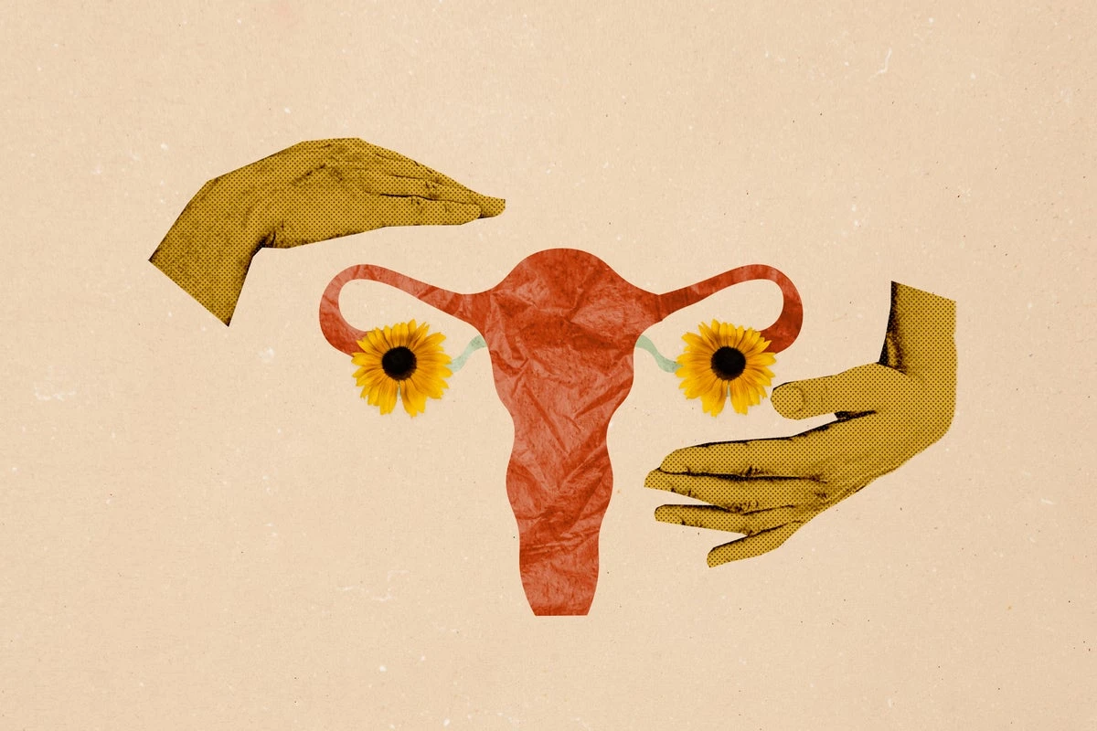 The biological dogma that women don’t make new eggs after birth may be wrong