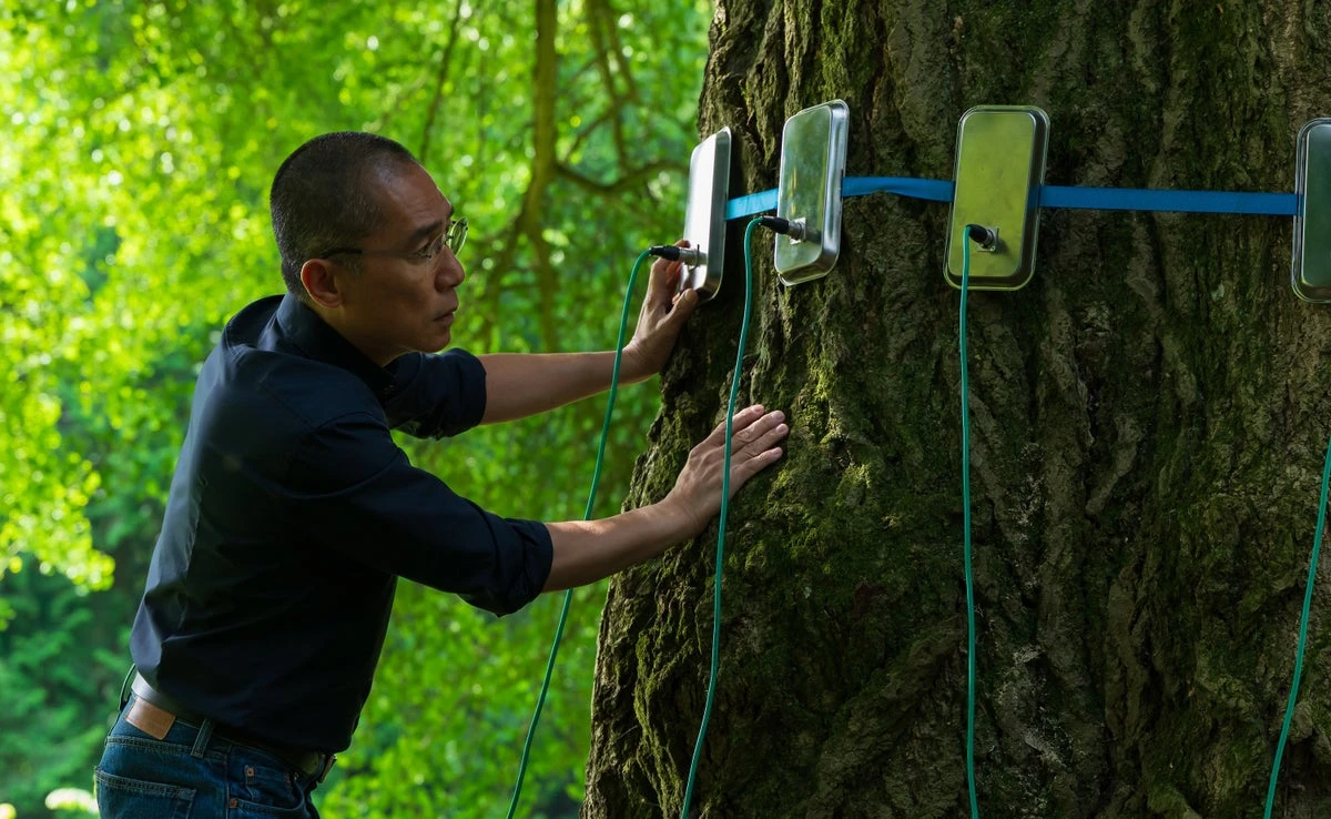 Can plants have consciousness? The film Silent Friend reimagines the science