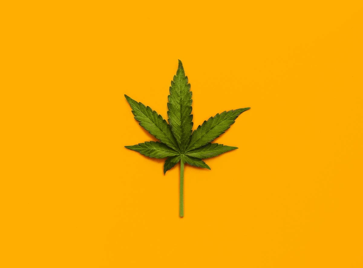 What we know—and what we don’t—about marijuana’s health effects