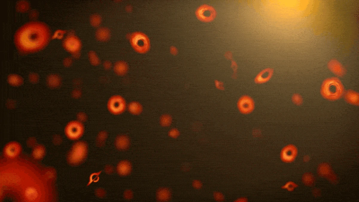 Did we just see a primordial black hole at the Milky Way’s edge?