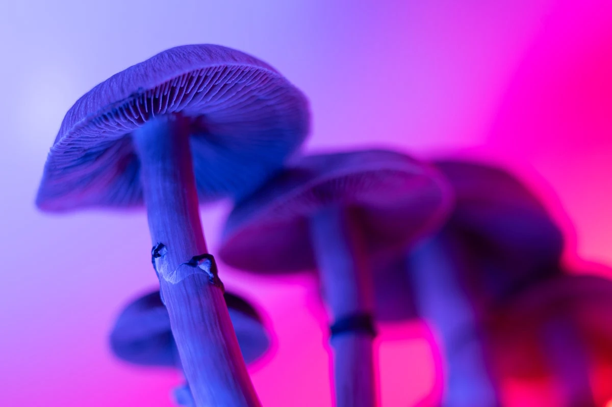 RFK, Jr., puts psychedelics on fast track to FDA review and approval